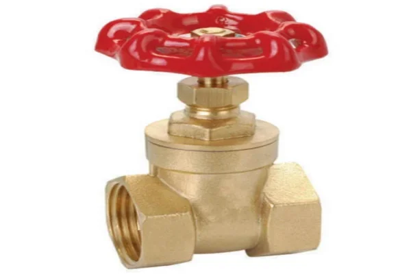 Gate valve 25mm